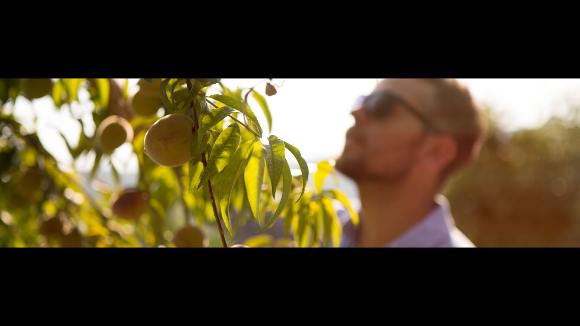 Zwitserleven investeert in groener Nederland.