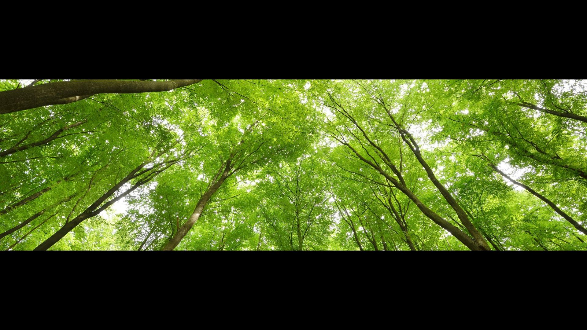 Een belangrijke bijdrage aan de wereld van nu én later.