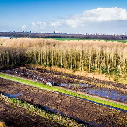 Zwitserleven gaat 2000 bomen aanplanten.