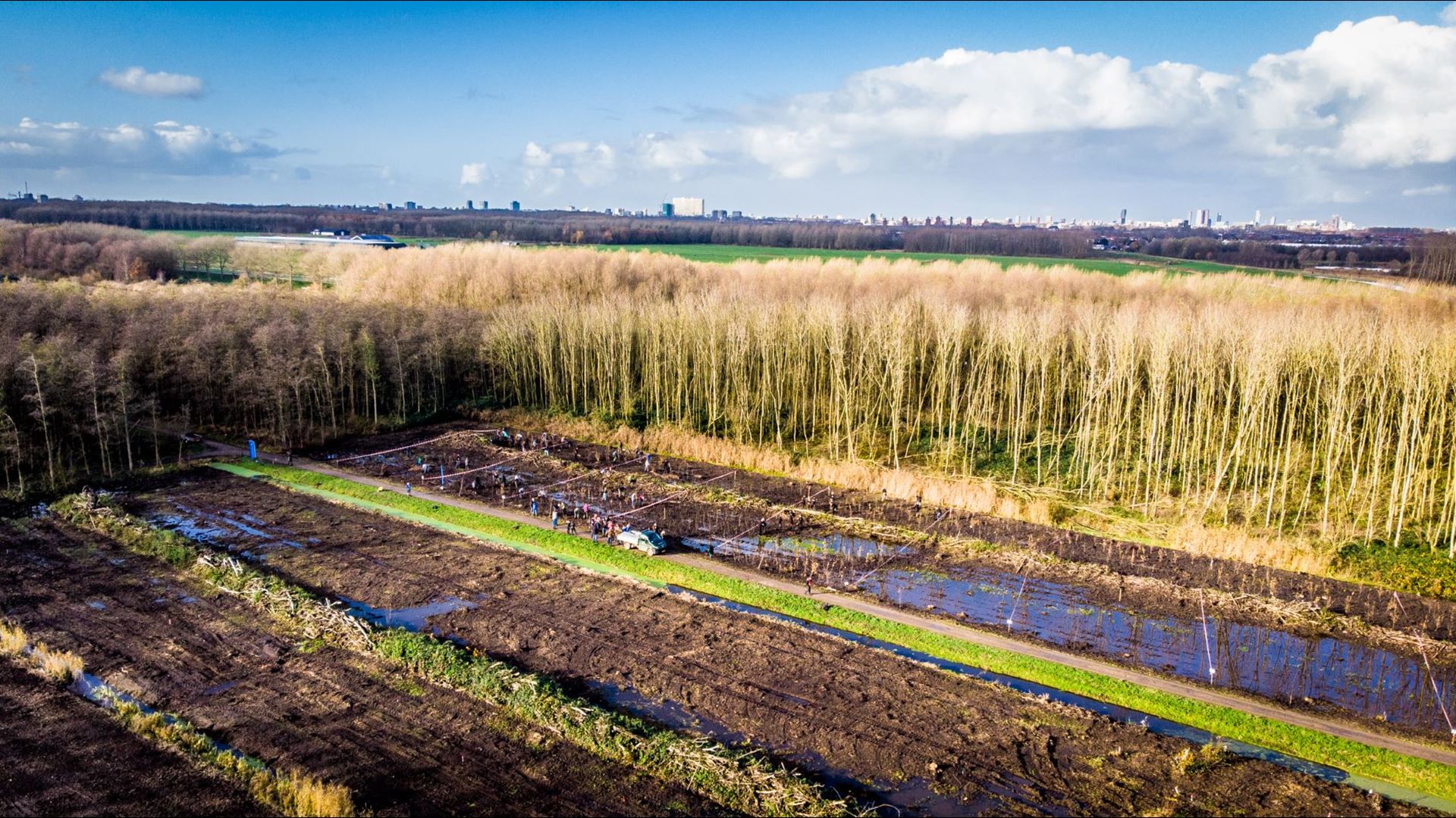 Zwitserleven gaat 2000 bomen aanplanten.