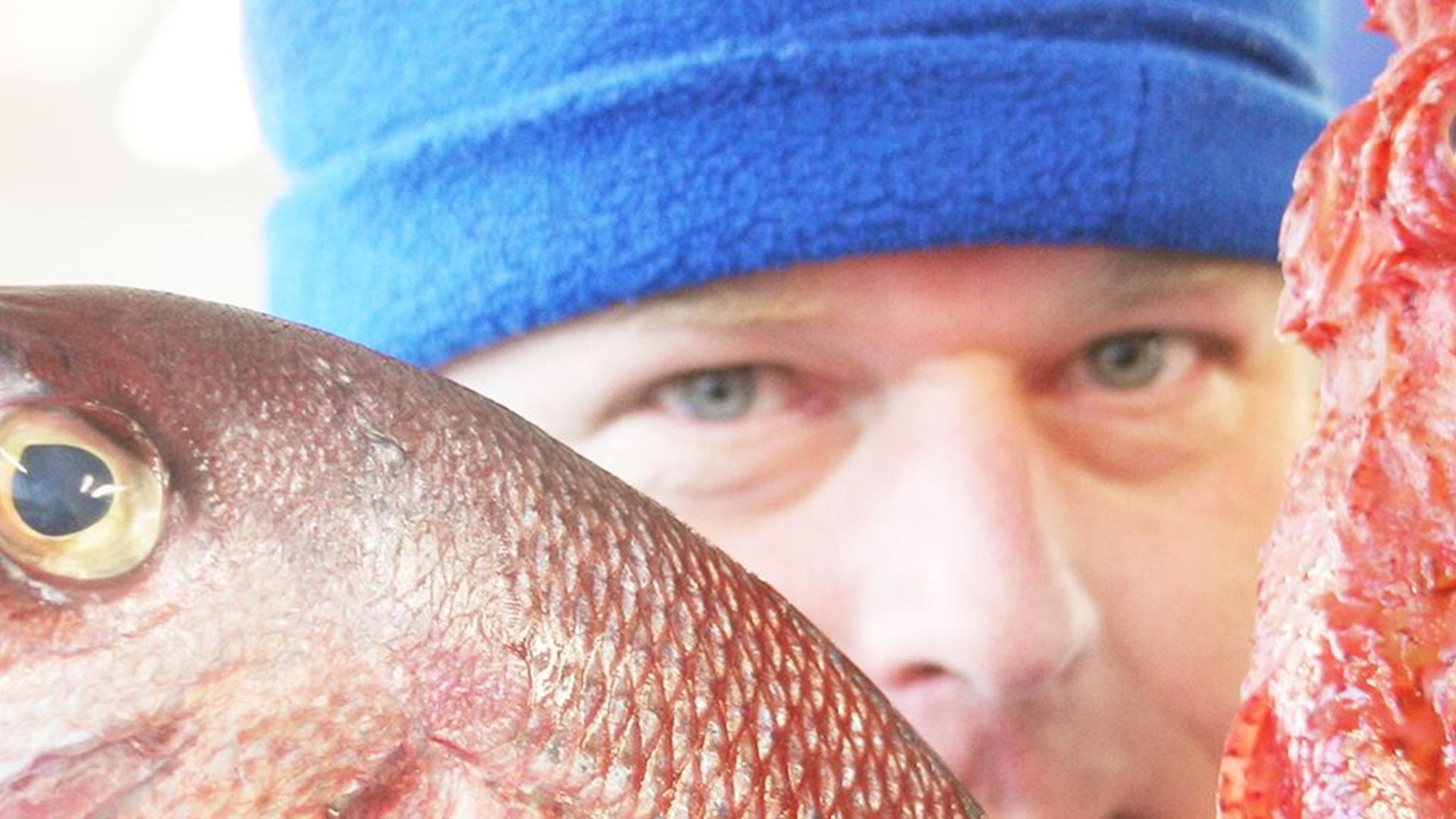 Wim van As, Director Versvishandel Jan van As