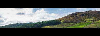 Yorkshire