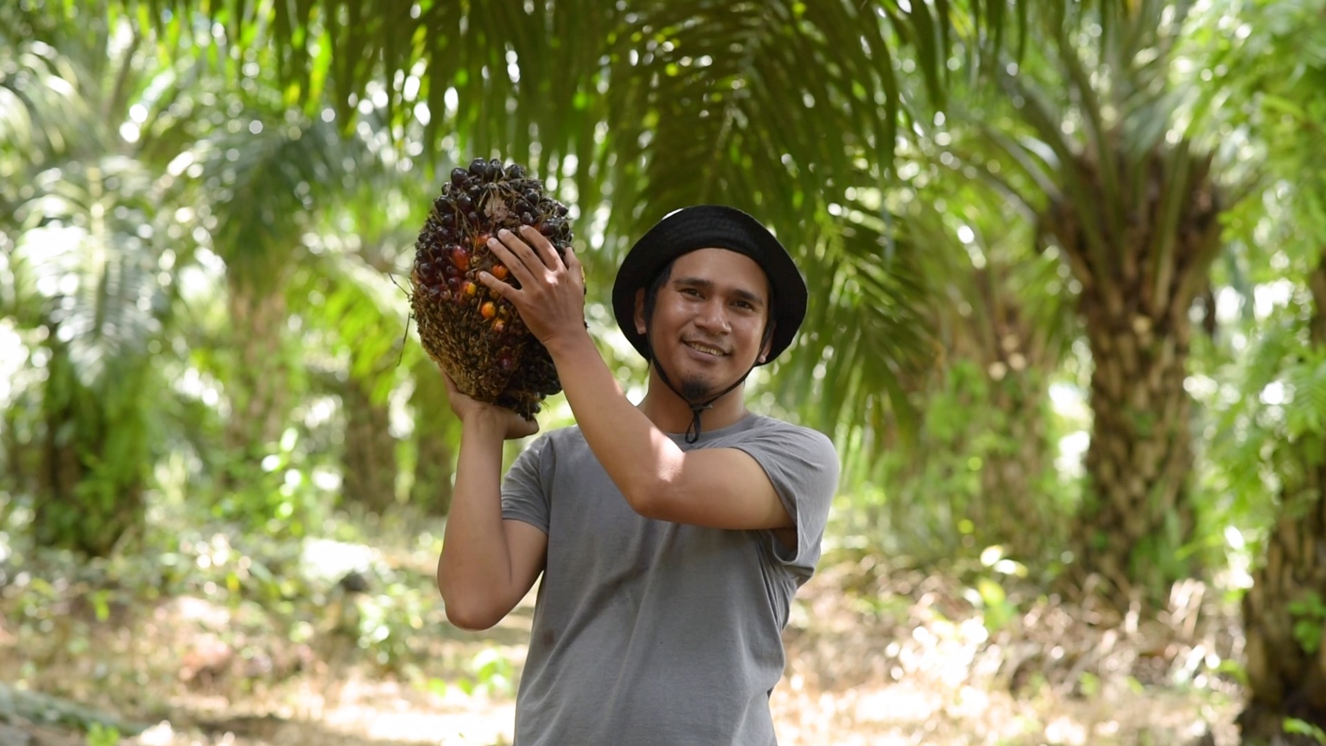 Engagement in de palmoliesector
