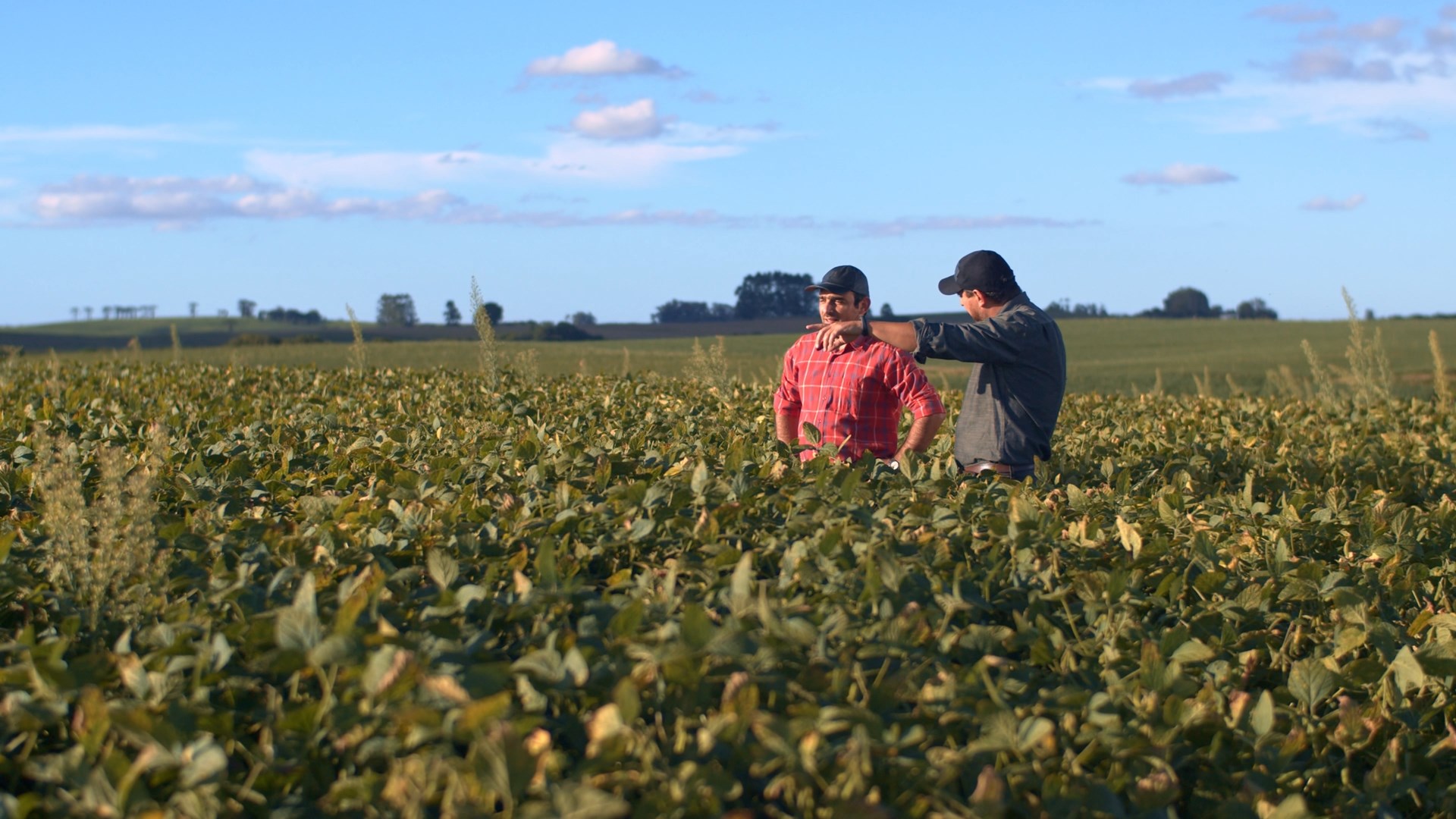 Engaging to counter deforestation.