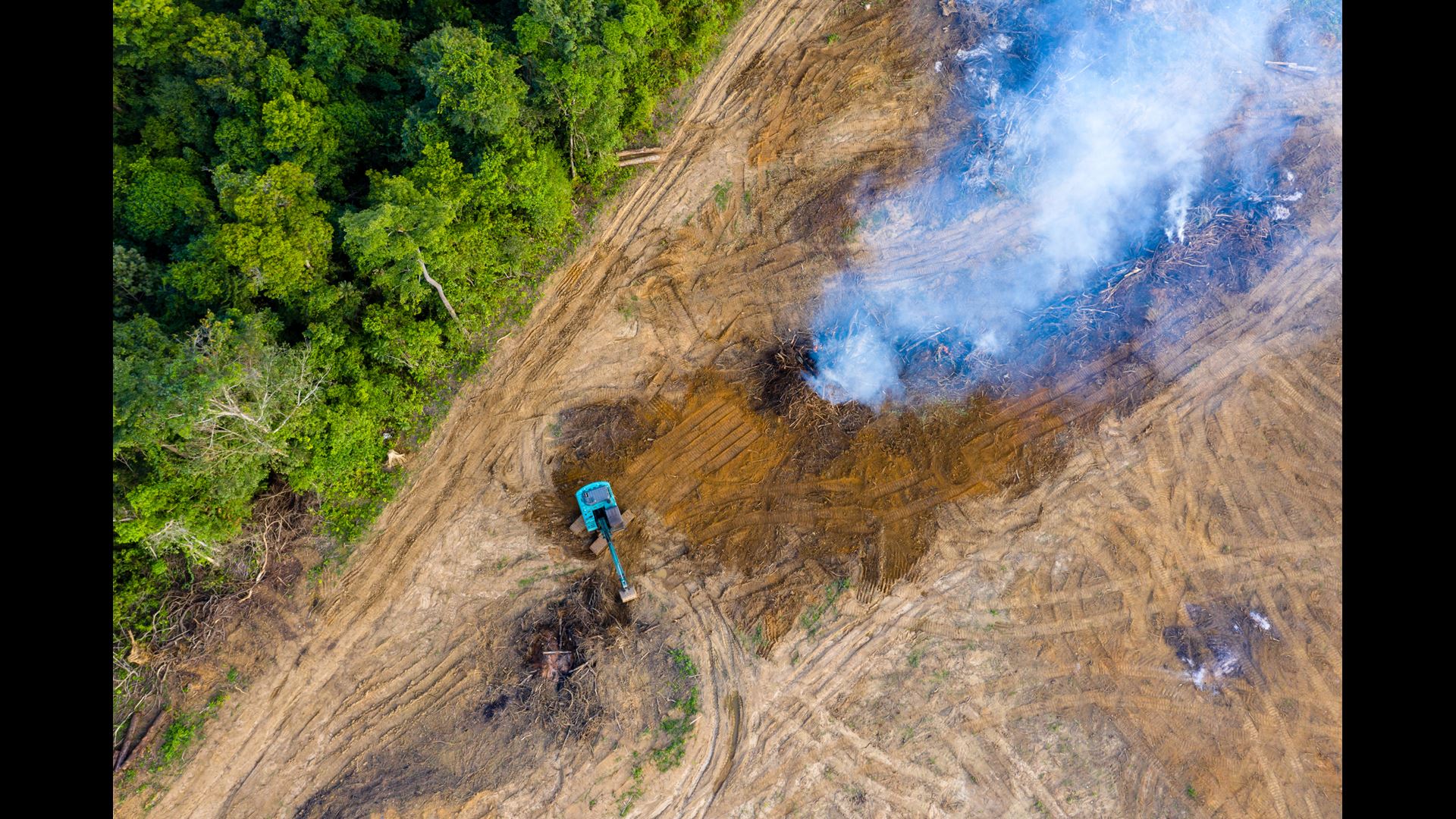 Engagementprogramma tegen ontbossing wint prijs.