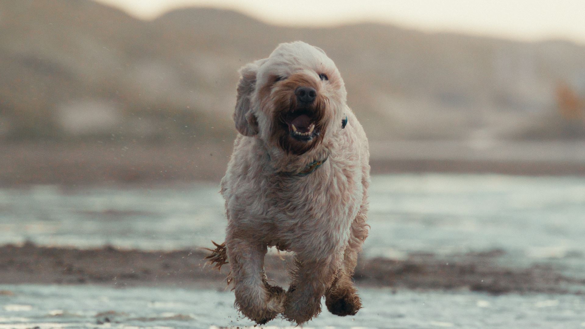 DynamischBeleggen voor een persoonlijker pensioen