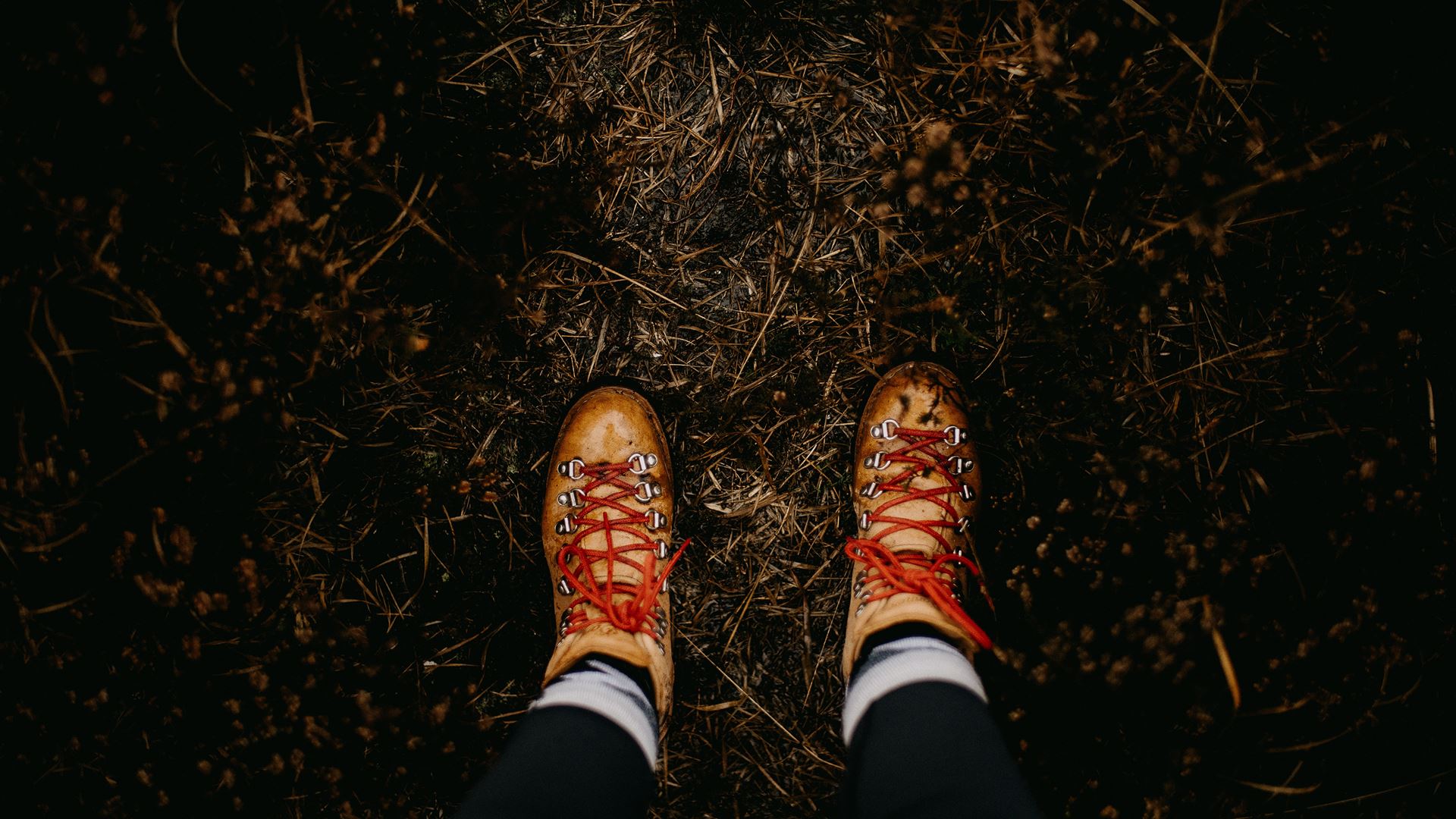 Voor- en nadelen van een flexibele premieregeling.