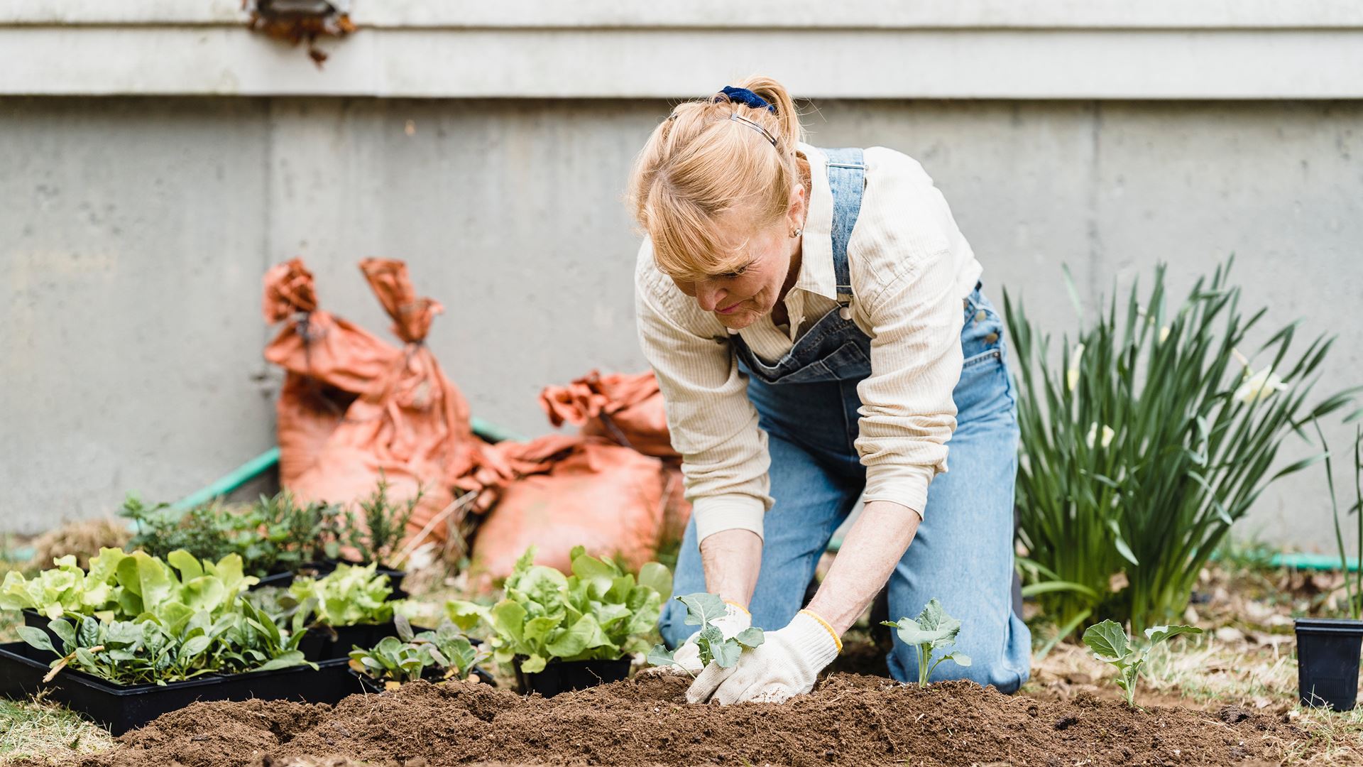 Oudere vrouw werkend in tuin op knieën