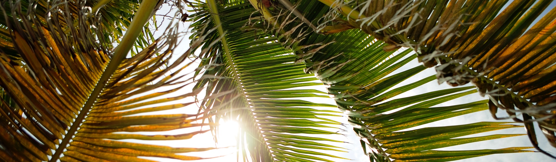 Werken aan een duurzamere wereld: een ethische en fiduciaire plicht