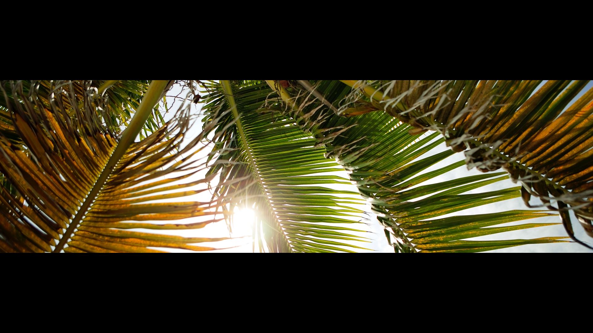 Werken aan een duurzamere wereld: een ethische en fiduciaire plicht