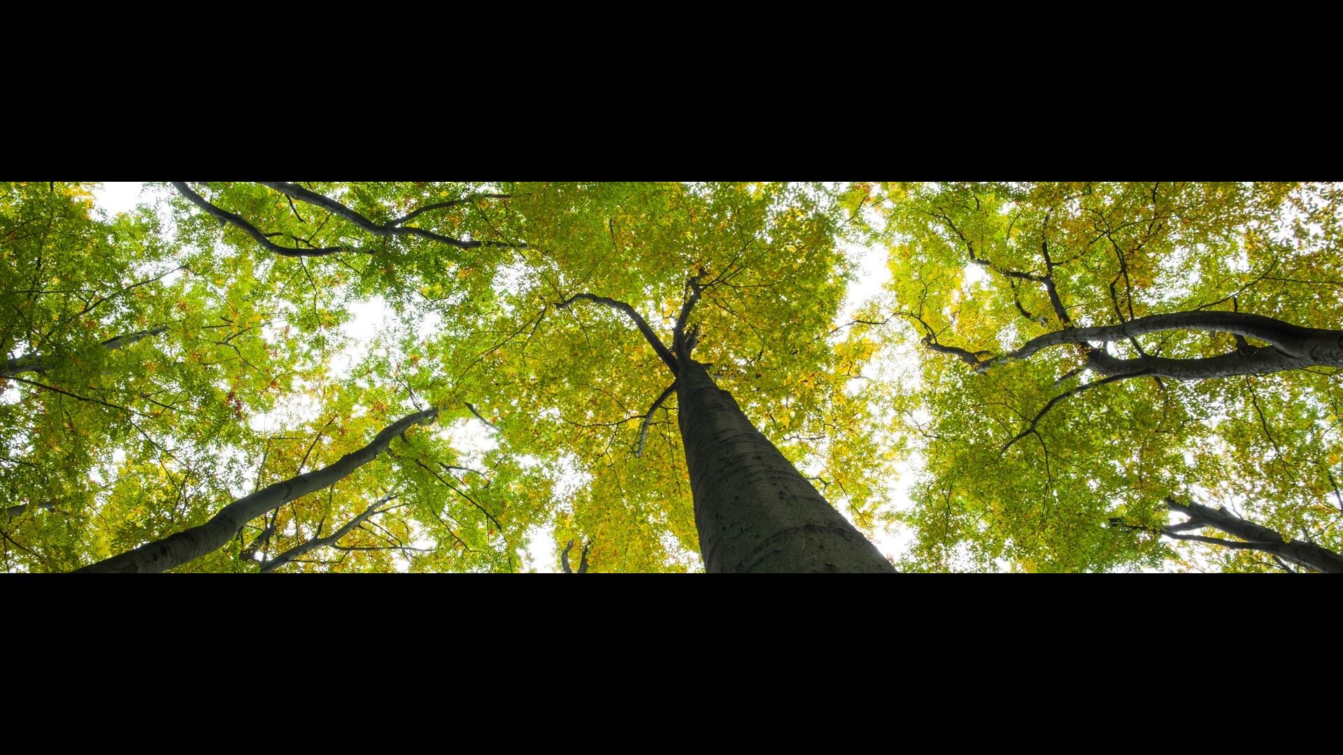 Het is nu al op - Earth Overshoot Day .