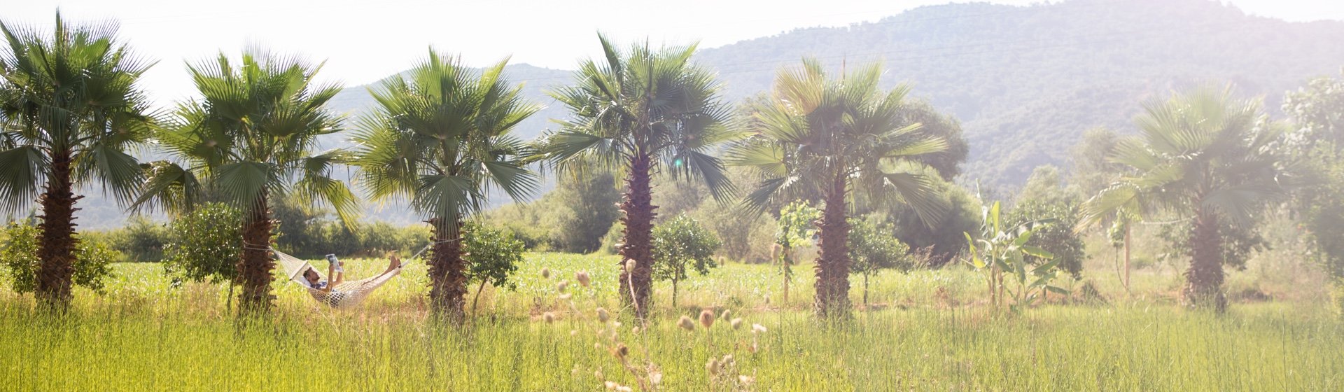 Verduurzaming 2 fondsen uitgesteld.
