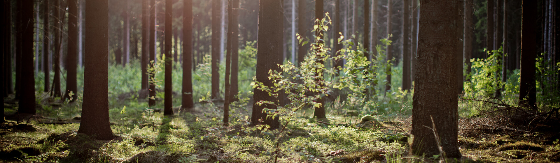 Duurzaam of greenwashed?