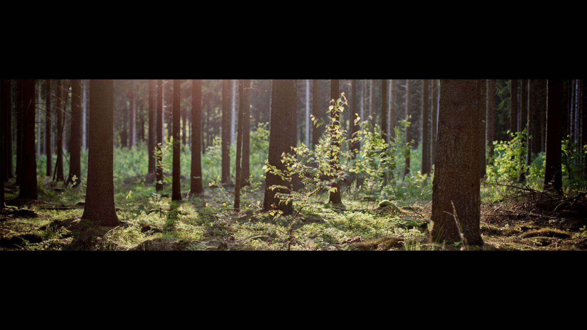 Meer inzicht in duurzame beleggingen