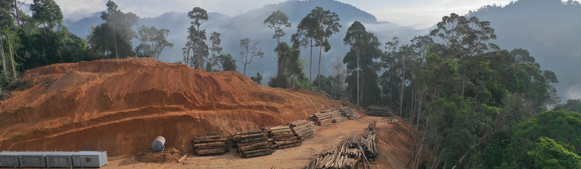 Brede coalitie van beleggers roept bedrijven op om ontbossing te stoppen.